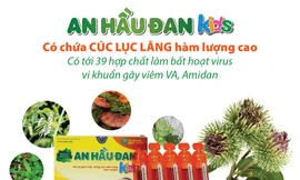 An Hầu Đan Kids chứa các thảo dược vàng nào?