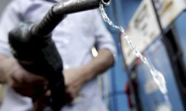 Ảnh nguồn Internet