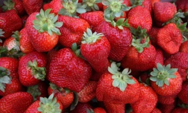 Người viêm đại tràng nên ăn dâu tây