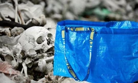 Các giáo xứ bảo quản một túi đựng 80 bộ hài cốt trong kho. Ảnh: Getty. 