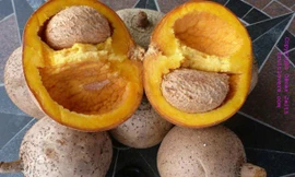 Kỳ lạ táo lõi vàng có hình dáng... hồng xiêm