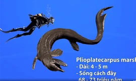 Những loài thương long lớn nhất thời tiền sử