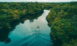 Không có con đường nào bắc ngang Amazon, lưu vực của nó lớn đến mức gần như chia Nam Mỹ làm đôi. Ảnh: Pinterest.