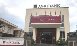 Agribank Lý Sơn đóng vai trò tích cực thúc đẩy quá trình phát triển kinh tế- xã hội huyện đảo tiền tiêu của Tổ quốc