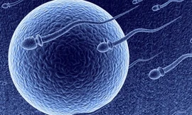  Ảnh minh họa. Theo Foxnews.