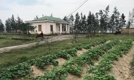 Thêm một trạm radar hàng chục tỉ tan hoang và tê liệt