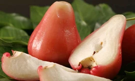 Trái roi có nhiều lợi ích sức khỏe tốt cho cơ thể đặc biệt trong mùa hè.