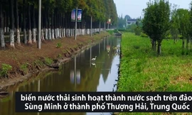 Công nghệ biến nước thải sinh hoạt thành nước sạch