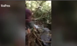 Xem dân làng liều mình quây bắt trăn khổng lồ