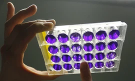 (Ảnh minh họa: Reuters)