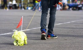 Giới trẻ Trung Quốc rộ “mốt” dắt bắp cải đi dạo