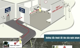 Nhấn vào đây hoặc ảnh để xem đồ họa chi tiết. Đồ họa: Tiêu Trung.