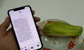 Nhà mạng phải nhắn liên tục ít nhất 5 ngày, mỗi ngày ít nhất một lần