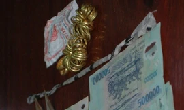 Số vàng giả mà cô con dâu lừa gia đình.