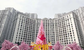 Bức tranh Xuân Đắc Lộc được kết từ 150.000 bông hoa đào một cách công phu, tỉ mỉ là món quà độc đáo dành tặng người dân. Nơi đây còn lộng lẫy hơn khi đêm về với hiệu ứng ánh sáng đặc biệt