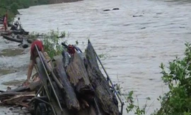 người dân đua nhau vớt củi trên dòng sông bằng các vật dụng thô sơ