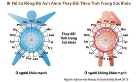 Sự cân bằng của nồng độ axit amin trong cơ thể phản ánh sức khỏe.