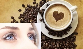 Trung bình, cà phê nguyên chất chỉ chứa 1% caffeine, song lại chứa từ 7-9% acid chlorogenic (CLA), một chất chống ôxy hóa mạnh ngăn chặn thoái hóa võng mạc ở chuột. Trong nghiên cứu, mắt chuột được xử lý với oxit nitric, chất gây căng thẳng do ôxy hóa và 