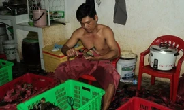 Cua biển Cà Mau có chất lượng tốt, thịt thơm ngon có giá bán 250.000 - 270.000 đồng/kg. 