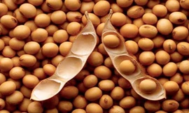 Nam giới trung niên nên ăn thực phẩm gì cho khoẻ?