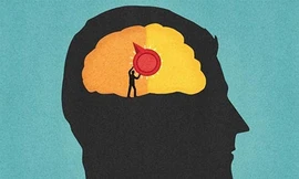 Các nhà nghiên cứu đã phát hiện công tắc "bật - tắt" trạng thái tỉnh táo, có ý thức của con người trong vùng hạch nền của bộ não. Ảnh: Corbis