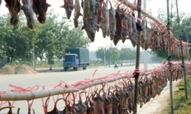 Khô chuột với cách sơ chế khá cầu kỳ