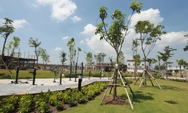 Dự án Thang Long Home Phước An của Chủ đầu tư Thăng Long Real được mở bán năm 2015 là khu nhà ở Thương mại đầu tiên được xây dựng tại Nhơn Trạch. Giá từ chủ đầu tư vào thời điểm mở bán là 800 triệu đồng- 900 triệu đồng, hiện nay, khách hàng chuyển nhượng 