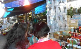 Năm Giáp Ngọ 2014 này là năm loài ngựa cầm tinh nên các món ăn chơi liên quan đến loài này cũng được bá tánh "chiếu cố" rầm rộ. Săn các mẻ cao ngựa được quảng cáo ầm ĩ giữa đời thực và trên các trang mạng ảo chưa đã, nhiều người còn tích cực săn cá ngựa h