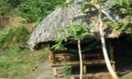 Ngôi nhà của Mó Kheng.