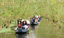 Du khách đi theo nhóm rất ưa thích đến Trà Sư bởi những hoạt động hòa với thiên nhiên hấp dẫn. 