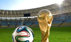 Bản quyền World Cup 2014 tại Việt Nam khá đắt