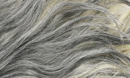 Nguy cơ mắc bệnh gì khi tóc bạc sớm?