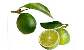 Bài thuốc đơn giản rẻ tiền trị cảm cúm hiệu quả