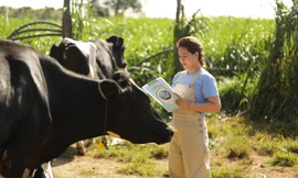 Cô gái Hà Lan tự hào có nguồn sữa nguyên liệu lớn và an toàn hơn chuẩn 11 lần