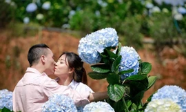 MC Nguyễn Hoàng Linh ngọt ngào tình tứ bên bạn trai