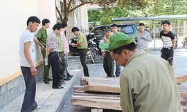 Bắt giam trạm trưởng kiểm lâm nhận hối lộ 100 triệu đồng