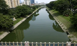 Nước sông Tô Lịch chuyển màu xanh như nước hồ Gươm