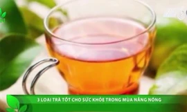 3 loại trà giúp giải nhiệt trong tiết trời nắng nóng