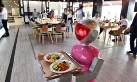 Robot bồi bàn được thiết kế bắt mắt, có khả năng tránh trẻ em và thực khách đang rời khỏi bàn của mình. Ảnh: Eater