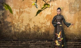 Hoa khôi Huỳnh Thúy Vi dịu dàng trong tà áo dài mang nét cung đình xưa