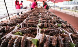 Tiệc cưới 1.500 khách ở quê 'chơi trội' toàn bào ngư, cá hồi