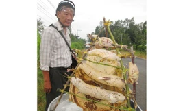 Mùa khô là thời điểm mùa khai thác mật ong chính vụ. Do ong tại các vùng rừng miền Tây không còn nhiều nên người làm nghề rủ nhau sang biên giới Campuchia khai thác, vì đây là vùng có nhiều ong mật.