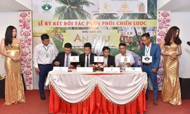 Chủ đầu tư An Phú kí kết cùng đối tác triển khai dự án chiến lược An Phú Riverside Quận 12