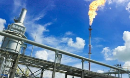 PV GAS thuộc 100 doanh nghiệp hàng đầu của bảng xếp hạng Nikkei Asia300