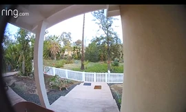 Sói xông vào nhà đuổi chó và điều gây kinh ngạc sau đó