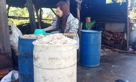 Cơm thừa đang là lĩnh vực béo bở đối với các “cò”. Giá một thùng cơm 220 lít lấy trực tiếp từ công ty chỉ 90.000-120.000 đồng nhưng qua “cò” thì giá lên đến 180.000-220.000 đồng.