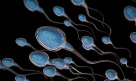 LAISS – Phương pháp mới làm thức tỉnh 'chiến binh' bất động