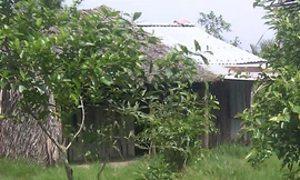 Ngôi nhà rách của mẹ con bà Nhị.