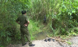 Khởi tố, điều tra vụ thi thể bé gái bị chôn trong vườn