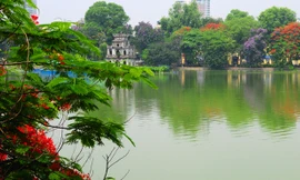 Màu xanh lục đặc trưng của Hồ Gươm được tạo bởi loài tảo lục đặc hữu chỉ có ở nơi đây. 